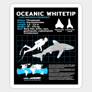 Oceanic whitetip shark fact sheet Magnet